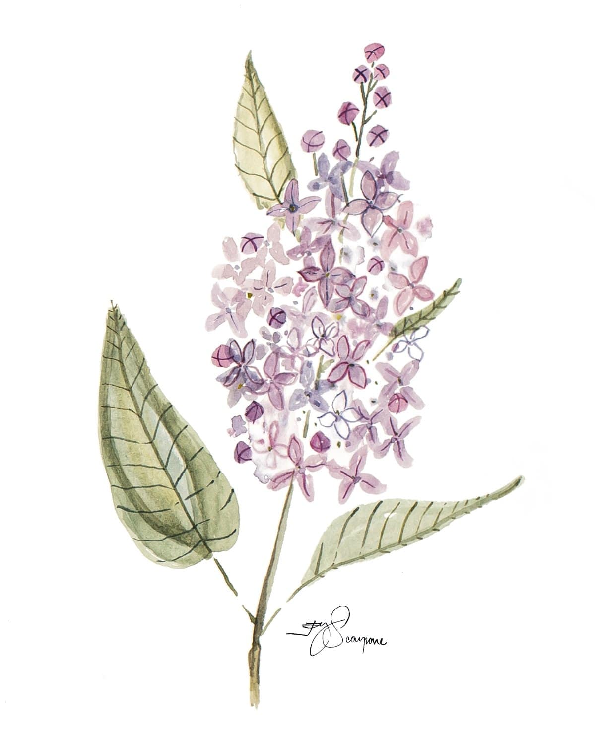 Lilac thesweetjessyproject jessy-scarpone
