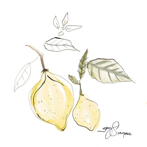 Lemons thesweetjessyproject jessy-scarpone